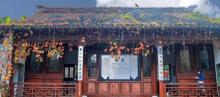 启园10
