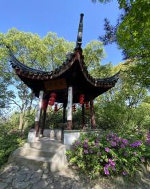 启园8