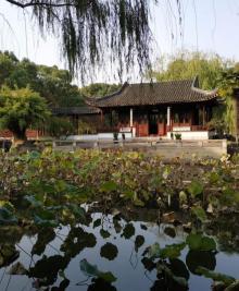 启园25