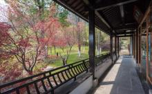 大阳山国家森林公园11