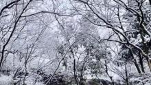 大阳山国家森林公园27
