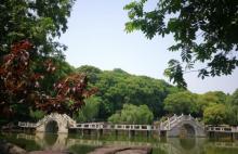 大阳山国家森林公园24