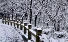 大阳山国家森林公园28