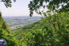 大阳山国家森林公园15
