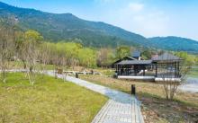 大阳山国家森林公园12