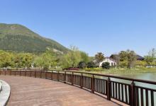 大阳山国家森林公园植物园景区18