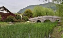 大阳山国家森林公园植物园景区29