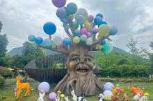 大阳山国家森林公园植物园景区9