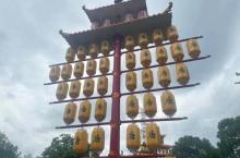 大阳山国家森林公园植物园景区8