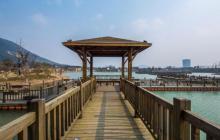 大阳山国家森林公园植物园景区16