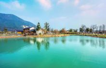 大阳山国家森林公园植物园景区12