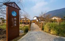 大阳山国家森林公园植物园景区15