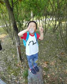 大阳山国家森林公园植物园景区28