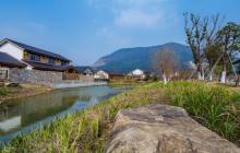 大阳山国家森林公园植物园景区13