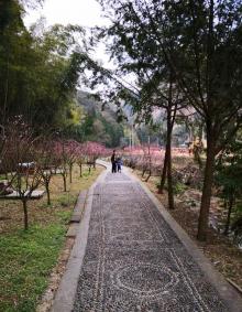 黄檀硐古村8