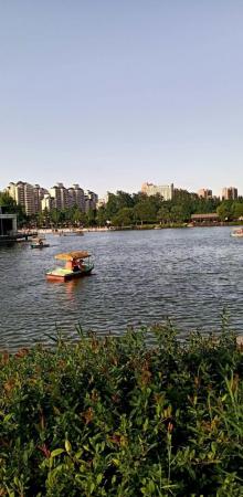 稠州公园7