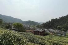 茶山7
