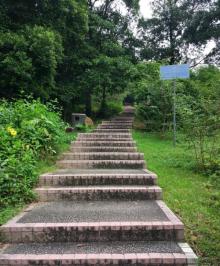 白云山8