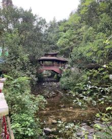 白云山14