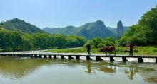 缙云仙都地质公园1