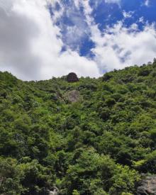 千佛山景区23