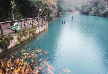 千佛山景区11