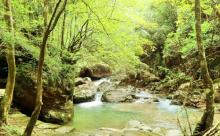 千佛山景区6