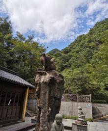 千佛山景区26