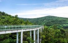 太湖湾露营谷30