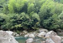 磐安百杖潭30