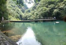 铜铃山森林公园29