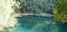 铜铃山森林公园23