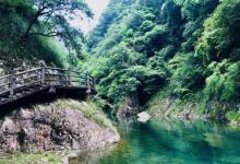 铜铃山森林公园13