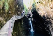 铜铃山森林公园19