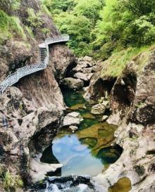 铜铃山森林公园17
