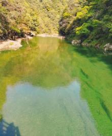 铜铃山森林公园20