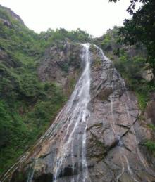 仙岩15
