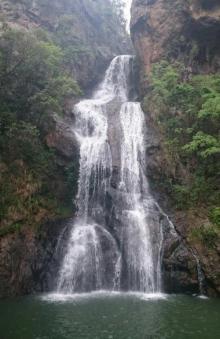 仙岩10