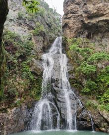 仙岩3