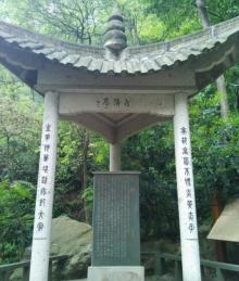仙岩11