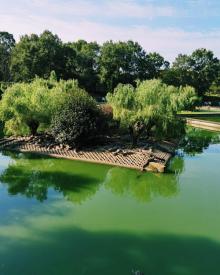 中国扬子鳄景区11