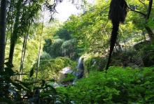 山沟沟景区6