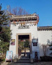 珍珠塔19