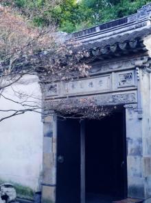 珍珠塔25
