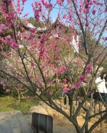 石公山14