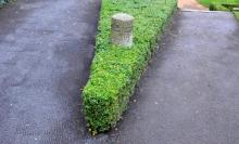 荷塘月色湿地公园26