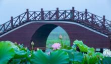 荷塘月色湿地公园22