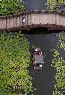 荷塘月色湿地公园18