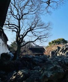 环秀山庄10