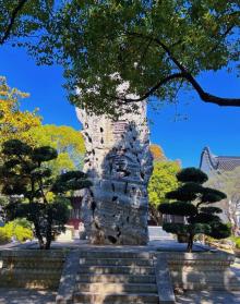 静思园11